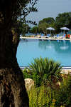 Polari Camping 